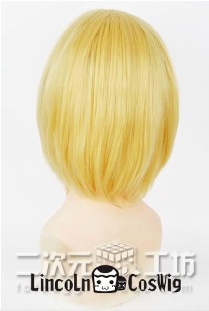 【期間限定価格】進撃の巨人 コスプレ一式 Mサイズ ウィッグ付き Amazon.co.jp: [Jielituo] 進撃の巨人 コスプレ ミカサ 衣装